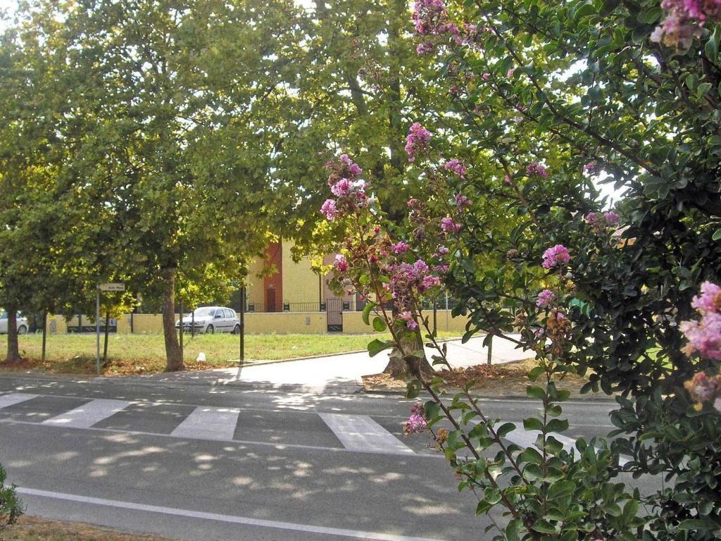 Residence Mediterraneo Lido delle Nazioni Szoba fotó